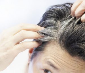 5 Tips to Prevent Grey hair - INFODEA